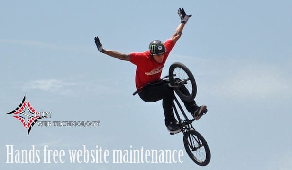 Hands free website maintenance